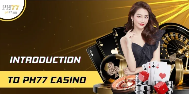 Hướng Dẫn Người Mới Bắt Đầu tại win333 casino